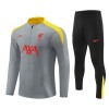 Liverpool Training Sweatshirts Quarter-zip 2024-25 Graue Für Kinder